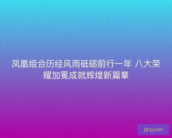 凤凰组合历经风雨砥砺前行一年 八大荣耀加冕成就辉煌新篇章